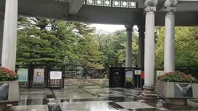 雨天公园拍摄实拍自然风光视频的预览图